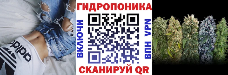 Что такое Нарьян-Мар А ПВП КОКАИН Амфетамин Псилоцибиновые грибы ГАШИШ МАРИХУАНА