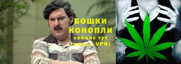 спиды Белокуриха