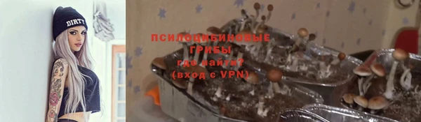 мяу мяу мука Богданович