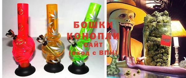 сатива Богородск