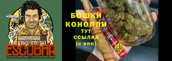 сатива Богородск