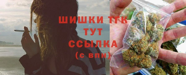 сатива Богородск