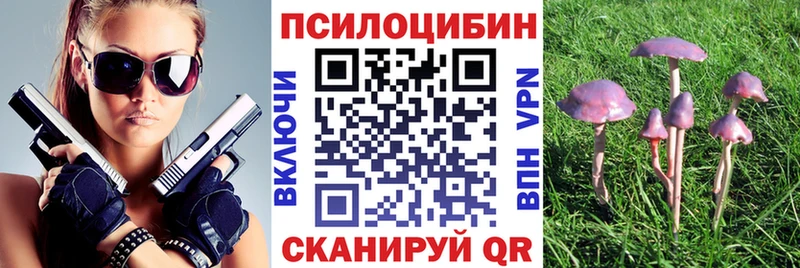 Псилоцибиновые грибы мицелий  где купить   Нарьян-Мар 